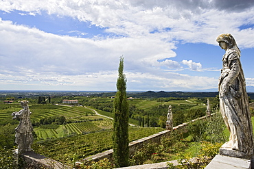 View of the rose garden at Rosazzo abbey, Friuli-Venezia Giulia, Italy