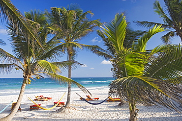 Beach of the Om Tulum Resort in Tulum, State of Quintana Roo, Peninsula Yucatan, Mexico