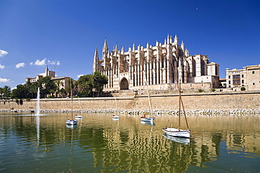 Cathedral La Seu under blue sky, Palma, Mallorca, Spain, Europe