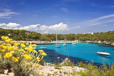 Sailing yachts in the bay Cala MondragÃ› in the sunlight, beach of CalÃ› d'en Garrot, natural park of MondragÃ›, Mallorca, Balearic Islands, Mediterranean Sea, Spain, Europe