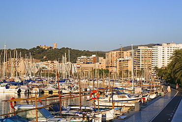Marina in the sunlight, Palma, Mallorca, Balearic Islands, Mediterranean Sea, Spain, Europe