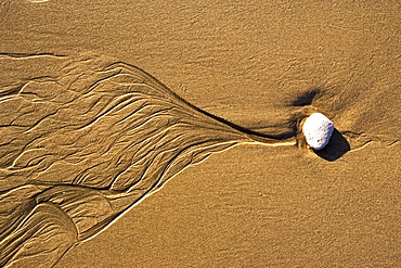 View at a little stone and traces of the water in the wet sand, Punta Conejo, Baja California Sur, Mexico, America