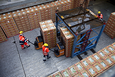 Dock workers loading banana boxes, Port of Hamburg, Germany