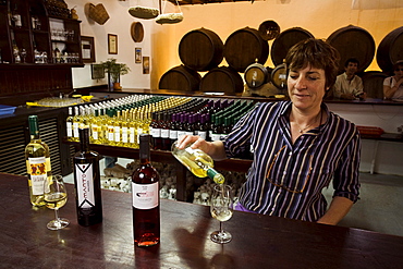 Wine tasting room, Bodega La Geria, La Geria, Lanzarote, Canary Islands, Spain, Europe