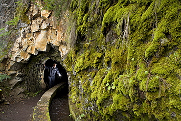 Man walking through a water channel and tunnel, moss, Galeria de agua, Fuentes Marcos y Cordero, natural preserve, Parque Natural de las Nieves, east side of extinct volcanic crater, Caldera de Taburiente, above San Andres, UNESCO Biosphere Reserve, La Palma, Canary Islands, Spain, Europe