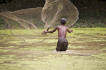 Cambodian fisherman with fishing net in a river, Angkor, Siem Reap Province, Cambodia, Asia