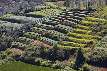 View at deserted terrace fields, Trai Mat, Lam Dong Province, Vietnam, Asia