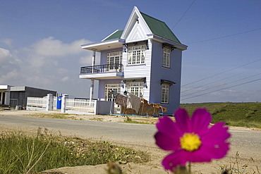 Typical house in the sunlight, Lam Dong Province, Vietnam, Asia