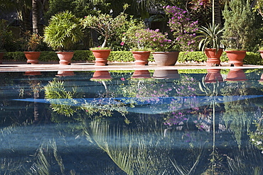 Swimming pool and tropical garden of a hotel resort in Mui Ne, Binh Thuan Province, Vietnam, Asia