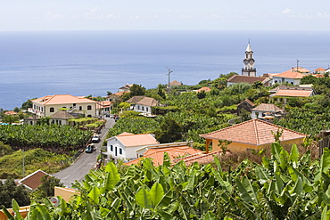 Houses amidst a banana plantation, Madalena do Mar, Madeira, Portugal