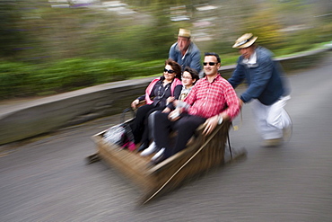 Monte Toboggan Run, Funchal, Madeira, Portugal