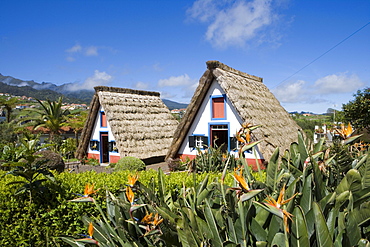 Traditional A-framed Palheiro Houses, Santana, Madeira, Portugal