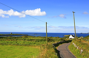 Country road in the sunlight and view at the atlantic, Mizen Head Peninsula, County Cork, southwest coast, Ireland, Europe