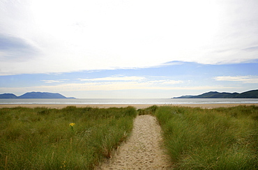 Dune landscape and view at the Atlantic, Inch, Dingle Peninsula, County Kerry, west coast, Ireland, Europe