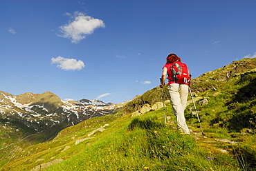 Female hiker ascending, Stubai Alps, Trentino-Alto Adige/South Tyrol, Italy