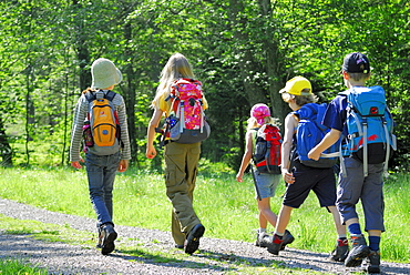 Children hiking along a meadow, Bavarian Alps, Upper Bavaria, Bavaria, Germany