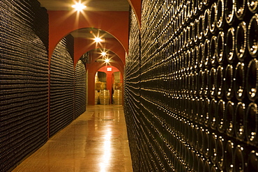 Bodegues Macia Batle Winery Cellar, Santa Maria del Cami, Mallorca, Balearic Islands, Spain, Europe