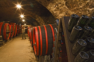 barrels with sparkling wine, champagne, storage, in cellar, Schloss Landestrost, Neustadt am Ruebenberge, Lower Saxony, Germany