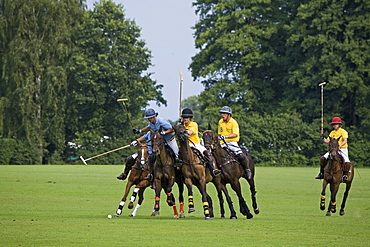 polo game, horse, Maspe, Lower Saxony, Germany