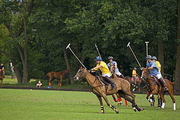 polo game, horse, Maspe, Lower Saxony, Germany