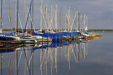 yachts berthed, lake Steinhuder reflections, Lower Saxony, Germany