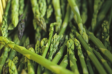 green asparagus, close-up