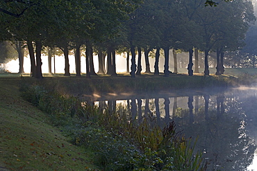 Graft, tree lines, fog, Great Garden Herrenhausen in Hanover, Hanover, Lower Saxony, northern Germany