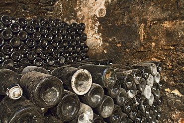 champagne sparkling wine, sekt bottles, shelf storage, in cellar, Schloss Landestrost, Neustadt am Ruebenberge, Lower Saxony, Germany