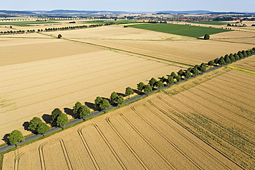 aerial view of fields in Calenberger Land, tree-lined country road, region Hanover, Lower Saxony, northern Germany