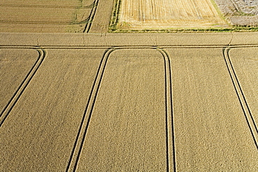aerial view of fields, region Hanover, Lower Saxony, northern Germany