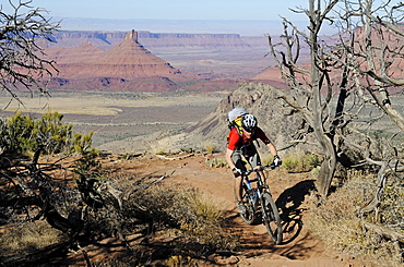 Mountain biker, Porcupine Rim Trail, Castle Valley, Moab, Utah, USA