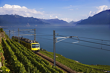 Train de Vignes, Lavaux, Canton of Vaud, Switzerland