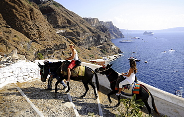 Tourists riding donkeys, Fira, island of Santorin, the Cyclades, Greece, Europe