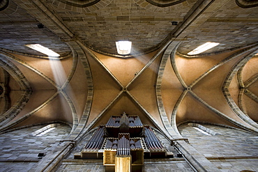 Vaulted ceiling in Bamberg Cathedral, cathedral of St. Peter and St. Georg, Bamberg, Franken, Bavaria, Germany, Europe