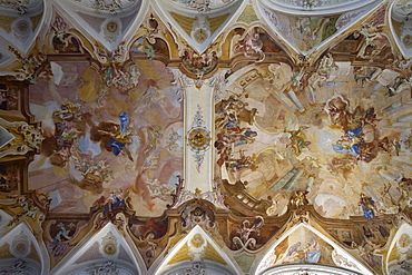 Arched roof in the Pilgrimage church Birnau, Birnau cathedral at Lake Constance, near Uhldingen-Muehlhofen, Baden-Wuerttemberg, Germany, Europe