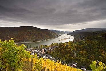 View towards Bacharach with St. Peter church, Wernerskapelle and Stahleck castle, Bacharach, Rhine, Rhineland-Palatinate, Germany, Europe