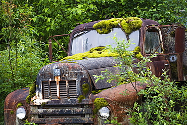 mossed car wreck, near Petersburg, Alaska, USA