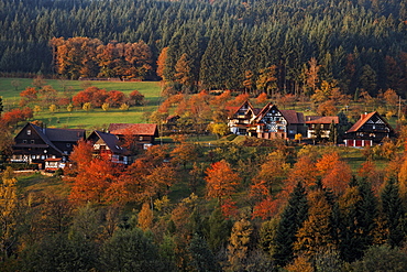 Half-timbered houses, Seebach valley, Baden-Wurttemberg, Germany