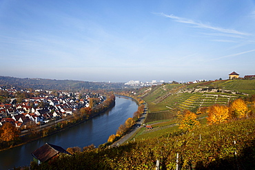 Vineyards along river Neckar, Munster-Stuttgart, Baden-Wurttemberg, Germany