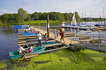 Heveney at the storage lake, Kemnader Stausee, Near Bochum, Ruhrtal, Ruhrgebiet, North Rhine-Westphalia, Germany, Europe