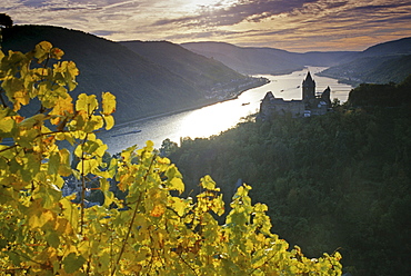 Stahleck castle near Bacharach, Rhine river, Rhineland-Palatinate, Germany