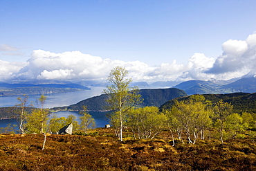 View at the Hardanfgerfjord, Folgefonn peninsula, Kvinnherad, Hardanger, Norway, Scandinavia, Europe