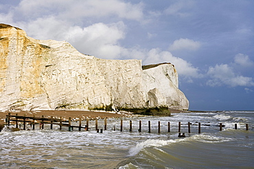 Coastline at Seaford Head, Seaford, East Sussex, England, Great Britain, Europe