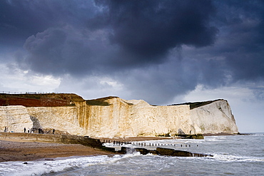 Coastline at Seaford Head, Seaford, East Sussex, England, Great Britain, Europe