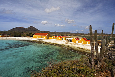 West Indies, Bonaire, Boca Slagbaai, Washington National Park