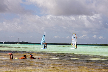 West Indies, Bonaire, Lac Bay Surfer