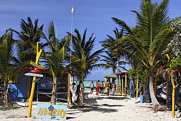 West Indies, Bonaire, Lac Bay Surfer, Jibe city