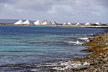 West Indies, Bonaire, Salt pans, Sea salt mine of Pekelmeer