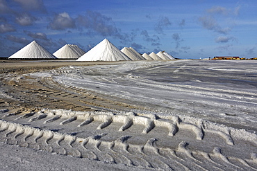 West Indies, Bonaire, Salt pans, Sea salt mine of Pekelmeer