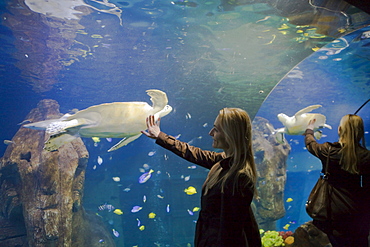 Sea Life Munich, Germany, Bavaria, Munich